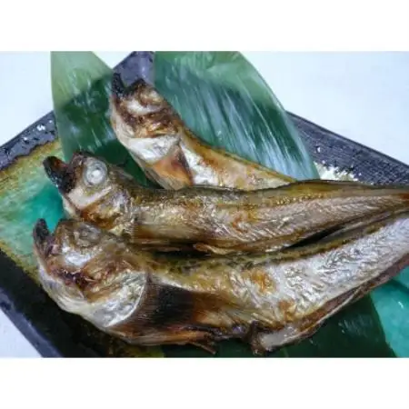 美味い、脂の乗った浜坂産一夜干しハタハタ約500g入り【配送不可地域：離島】【1685798】