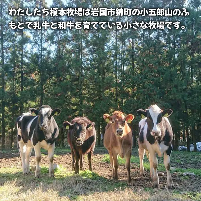 シロヘビチーズ 2個 160g ストリングチーズ さけるチーズ【榎本牧場チーズ工房】