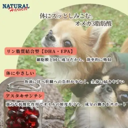 南極のオキアミ由来のクリルオイル 180粒【1728462】