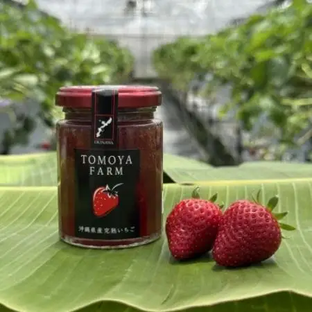 沖縄県中城村産いちご使用 ともや農場の完熟いちごジャム 120g×3個【1724318】