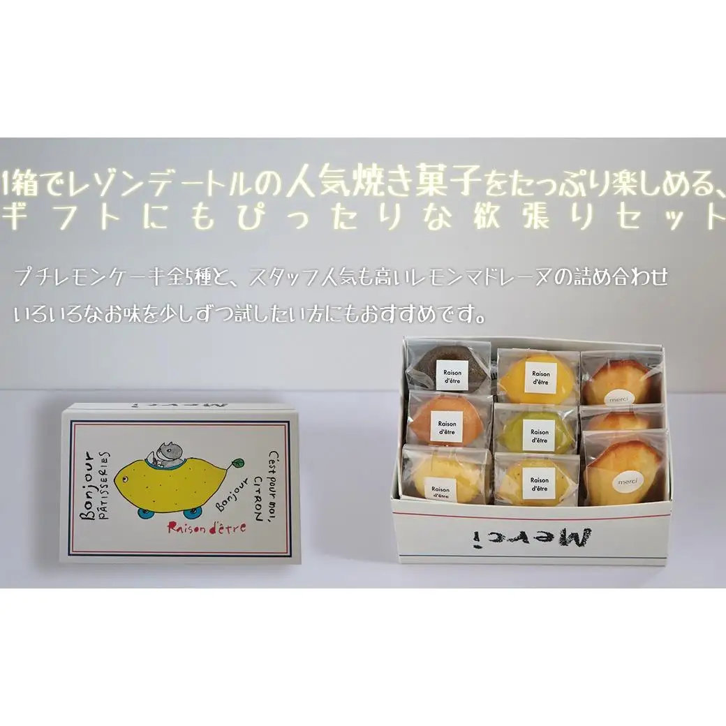 プチレモンケーキ5種6個＆レモンマドレーヌ3個 9個入り詰め合わせセット レモンケーキ マドレーヌ 焼き菓子 洋菓子 スイーツ 詰め合わせ セット アソート 個包装 ギフト