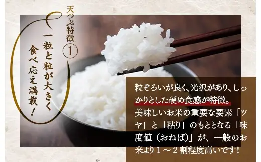 【令和8年産】【全3回定期便】米　国見町産　天のつぶ 20kg（5kg×4袋） 3回定期便 ※2026年10月～発送