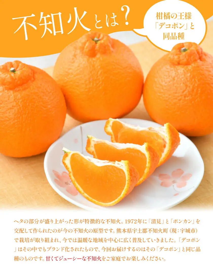 不知火（デコポン同品種） おすそ分け袋付き 5kg×2ケース 計10kg 日本フルーツ株式会社 熊本県 長洲町 《2月上旬-4月上旬頃出荷》 果物 秀品 フルーツ スイーツ デザート ギフト おすそ分け