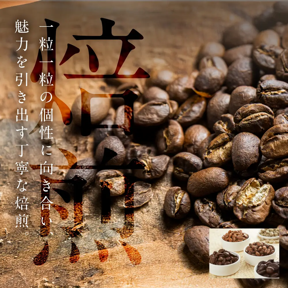 スペシャルティ 浅煎り/中挽 300g 3種 コーヒー