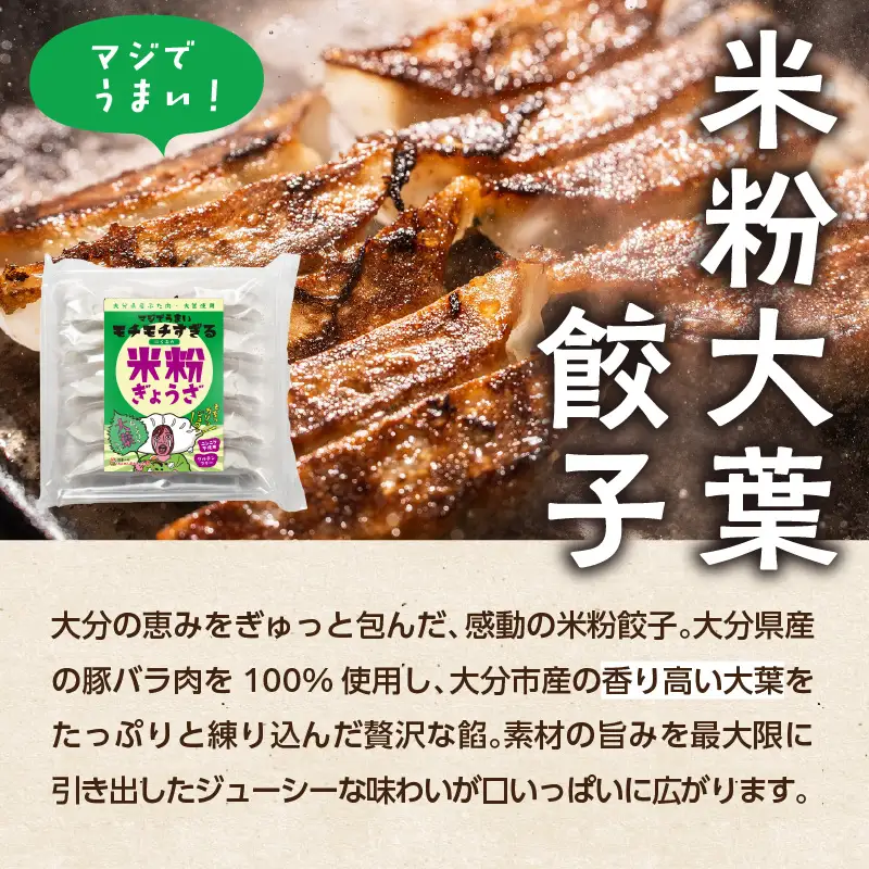 大分特産！グルテンフリーのニラと大葉の米粉餃子 A02038