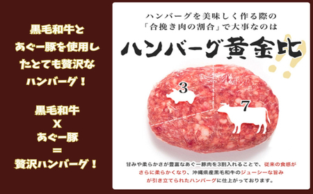 黒毛和牛とあぐー豚の贅沢ハンバーグ　8個入り