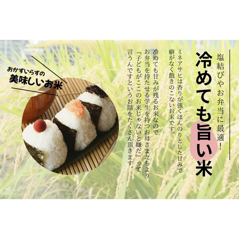【令和7年度産】産地限定山間地ギフト　希少米峰旭 （ ミネアサヒ ）真空パック 2kg×3 計6kg