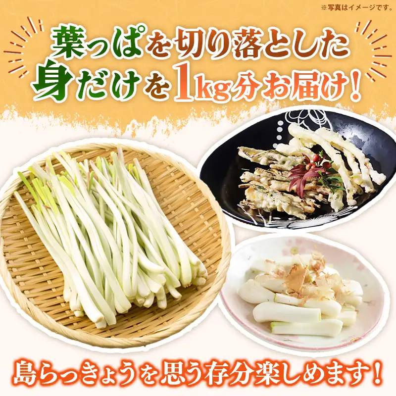 【先行受付】【2026年発送】沖縄県八重瀬町産 葉切り落とし 島らっきょう約1kg - 生らっきょう 国産 甘酢漬け 漬物 天ぷら チャンプルー 有機栽培 おすすめ 送料無料