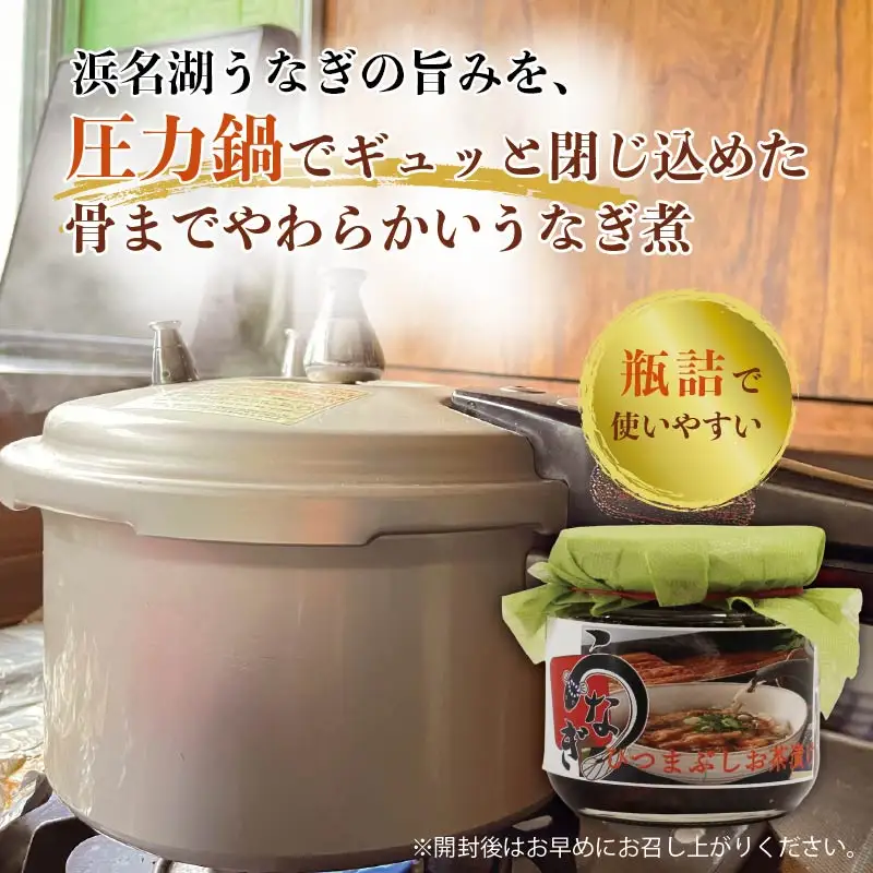 浜名湖産 鰻の佃煮 3個セット （100g×3袋） うなぎ