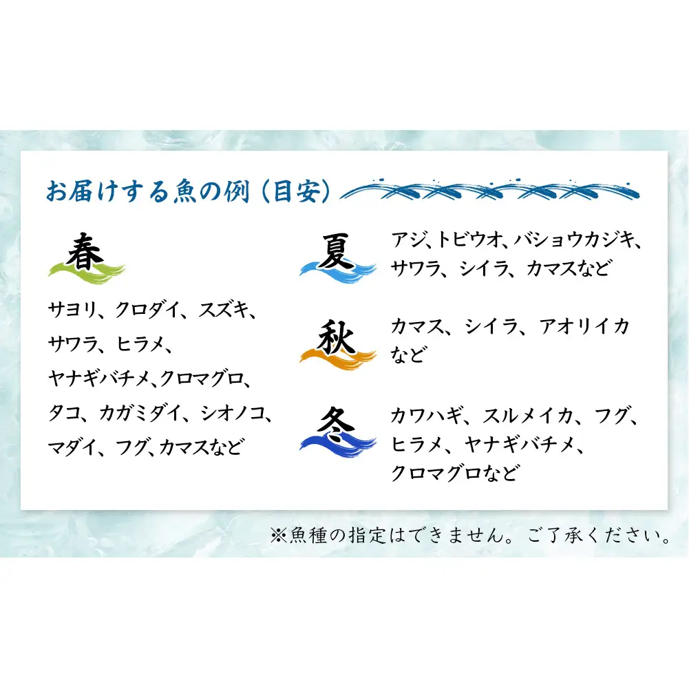 【6回定期便 / 連続お届け】 刺身詰め合わせ （柵） 2-3人前 （3種類）〈冷蔵〉  釣屋魚問屋直営 ひみ岸壁市場