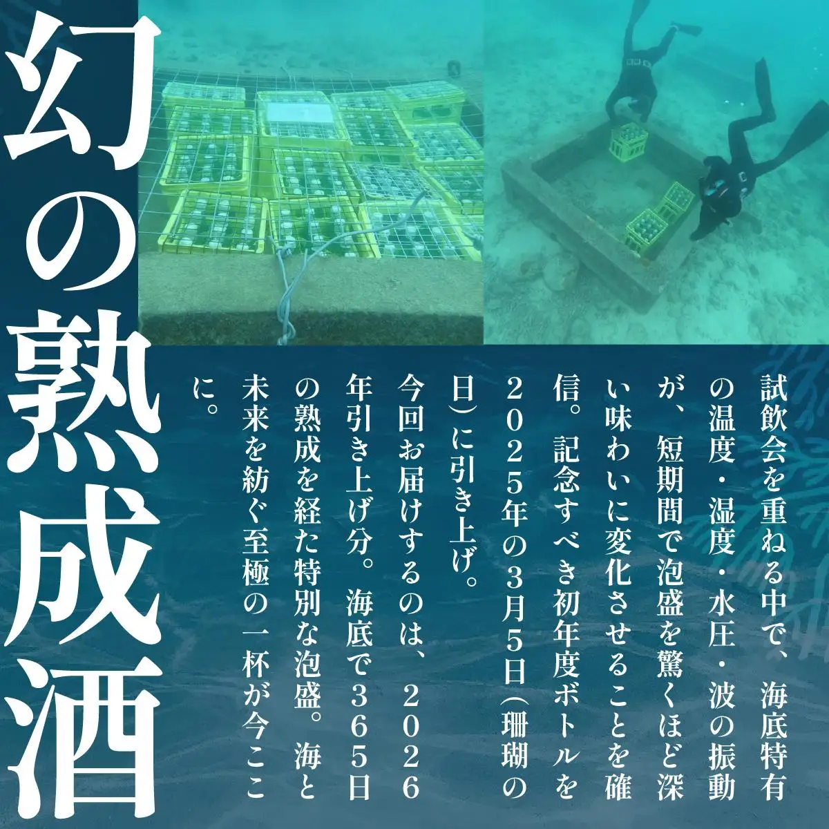 数量限定 『2026海底熟泡盛Tomigusuku Sango』43度 720ml
