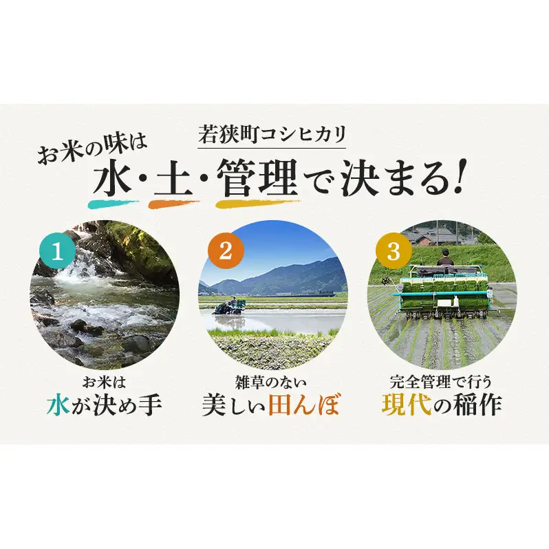 【12月お届け】若狭町コシヒカリ10kg 米 お米 こしひかり 福井県
