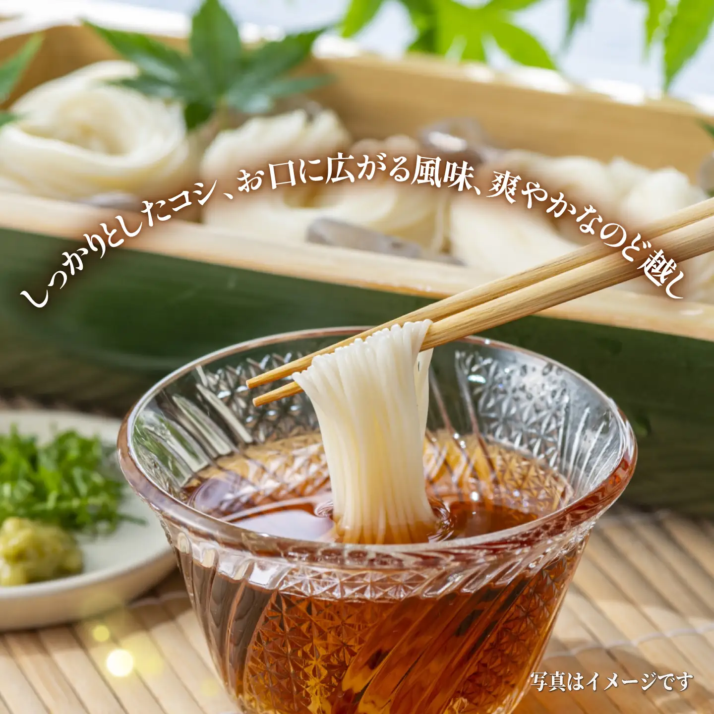 手延べそうめん 3kg そうめん[SCM091]