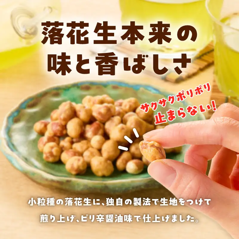 お買得気分 南国珍々豆 60g×12袋 K194-005_02 菓子 お菓子 豆菓子