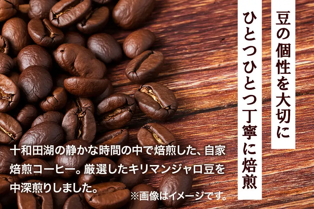 自家焙煎コーヒー キリマンジャロ （AAキボ）／中深煎り 豆100g