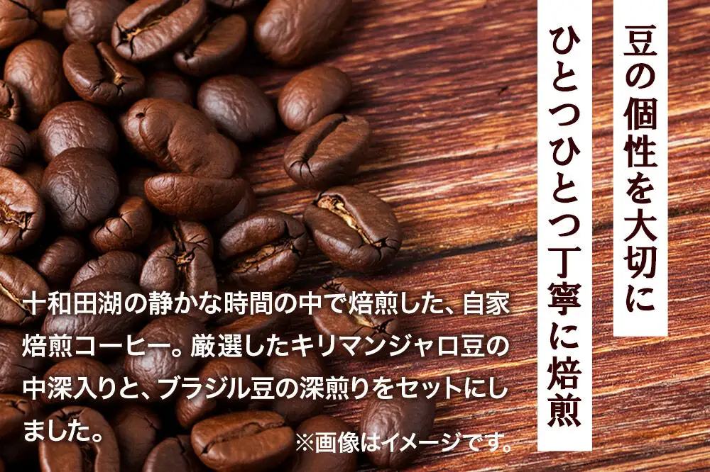 自家焙煎コーヒー キリマンジャロ （AAキボ）／中深煎り＆ブラジル（カンジュク）／深煎り 豆100g 計200g