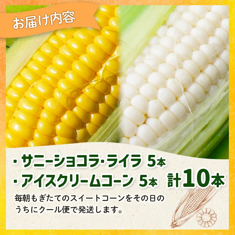 【とうもろこし数量限定先行受付！】多田農園のとうもろこし　2種10本セット【5100701】