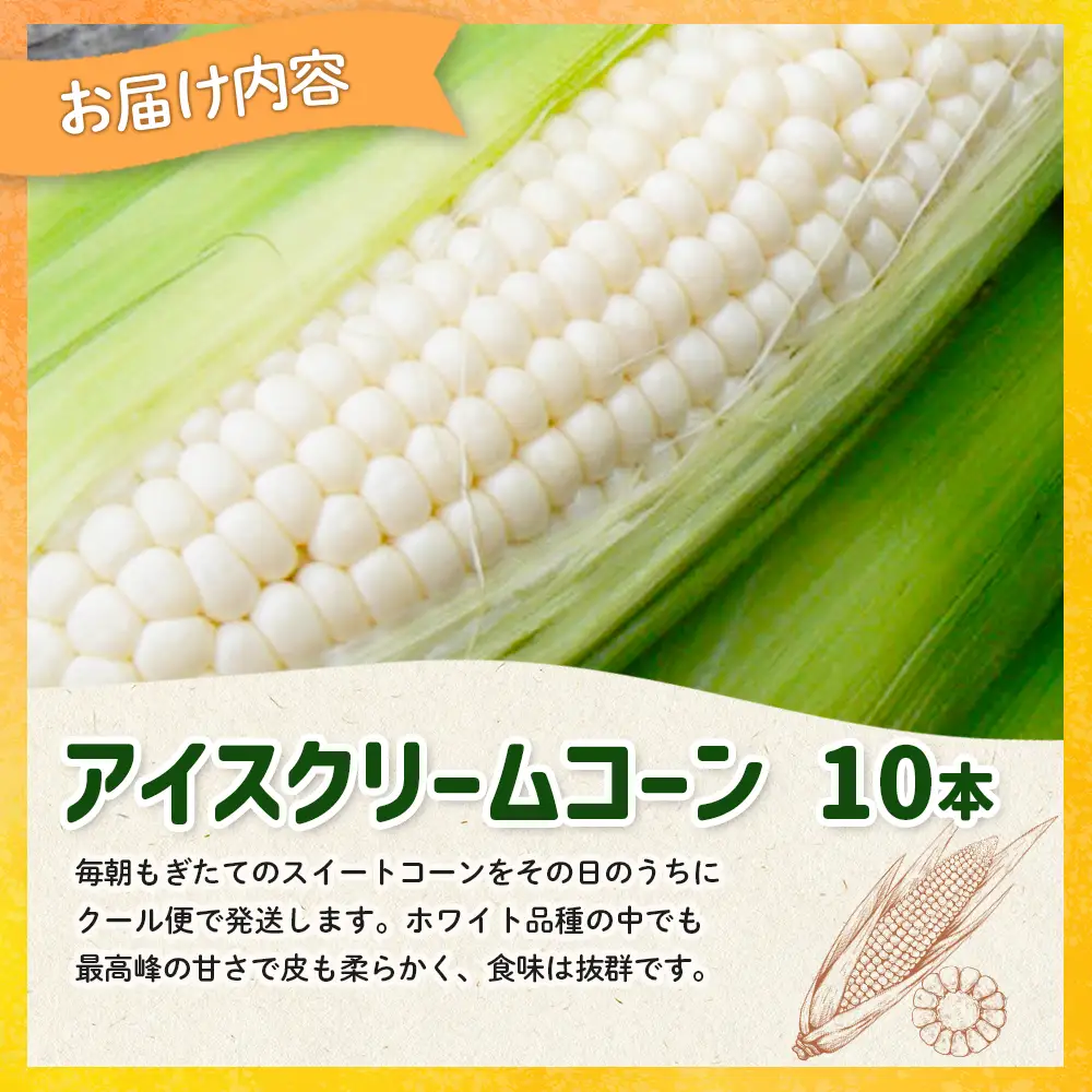 【とうもろこし数量限定先行受付！】多田農園のとうもろこし　アイスクリームコーン10本【5100601】
