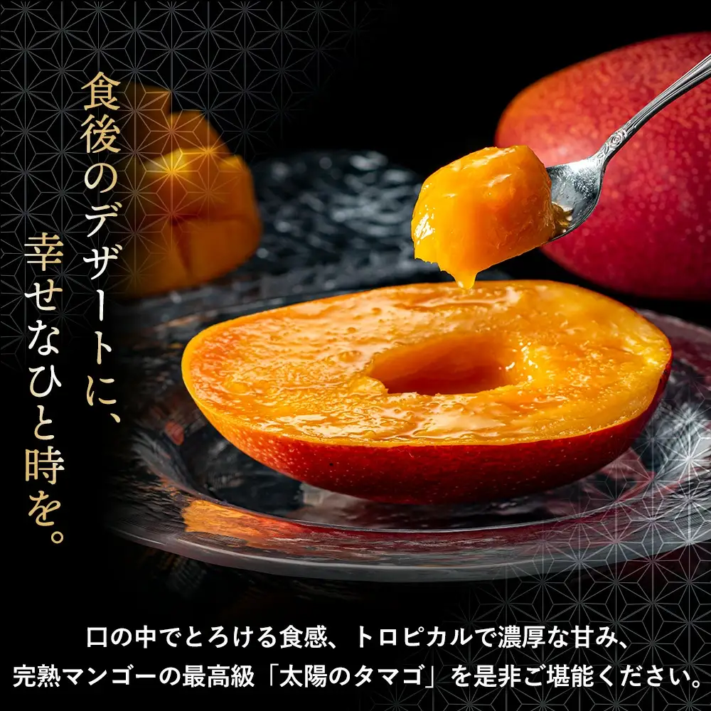完熟マンゴー『太陽のタマゴ』２玉（約１kg）【JA綾町】_A0114-1001