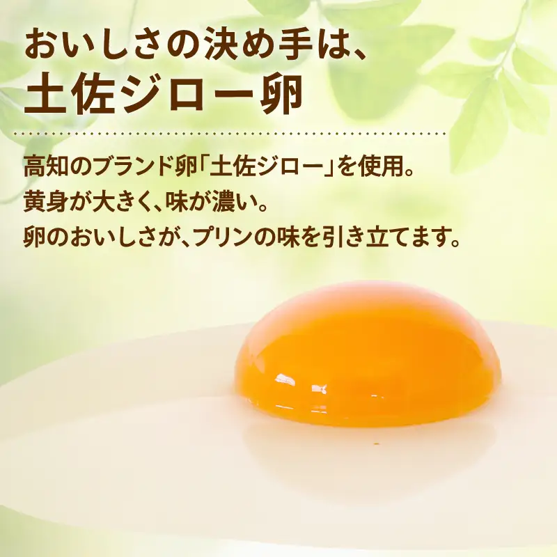 コミベーカリー 土佐ジロー卵のハッピープリン 6個入 | ぷりん 濃厚 たまご 卵 タマゴ 平飼い ブランド 土佐 おかし 取り寄せ 誕生日 ギフト プレゼント スイーツ 人気 高知 南国市