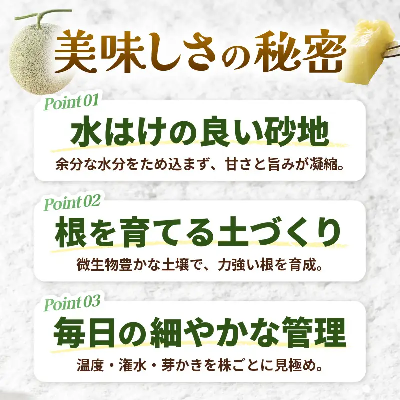 先行予約  アールスメロン (緑肉) 2玉 糖度15度以上 2026年9月上旬以降順次発送予定 [C-22101]