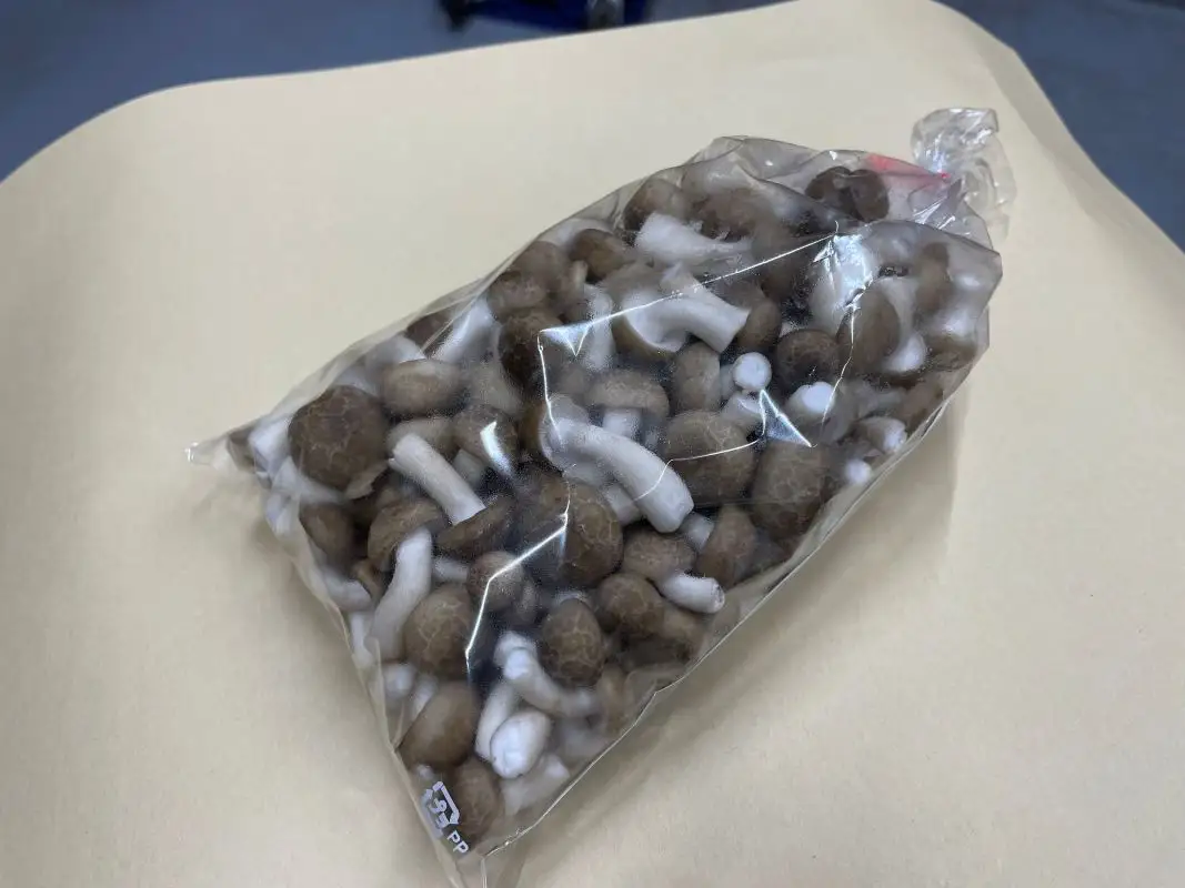 清らかな水と澄んだ空気が育てた、天龍村の ぶなしめじ 【1袋300g】