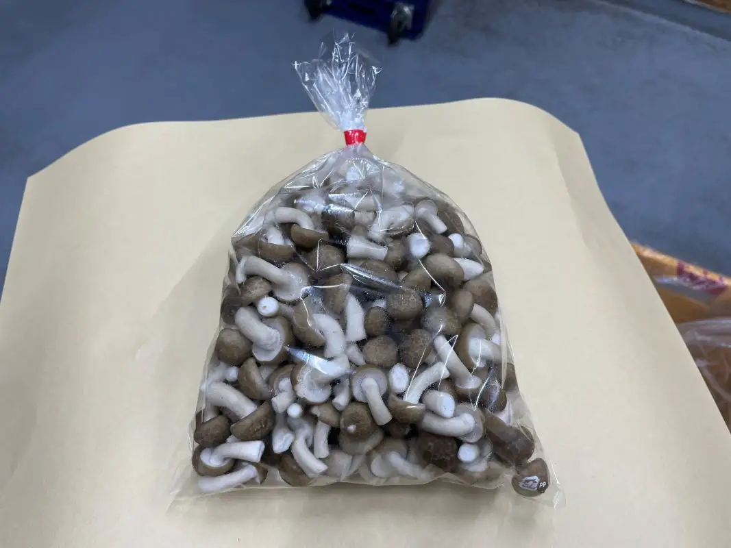 清らかな水と澄んだ空気が育てた、天龍村の ぶなしめじ 【1袋500g】