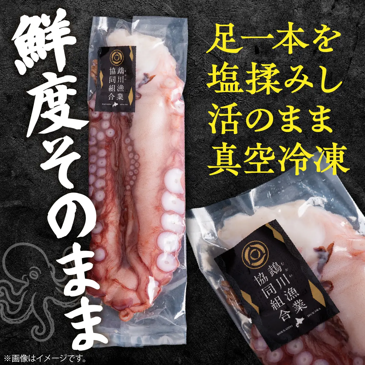鵡川漁協発！活水生蛸足冷凍（約1kg） MKWV004