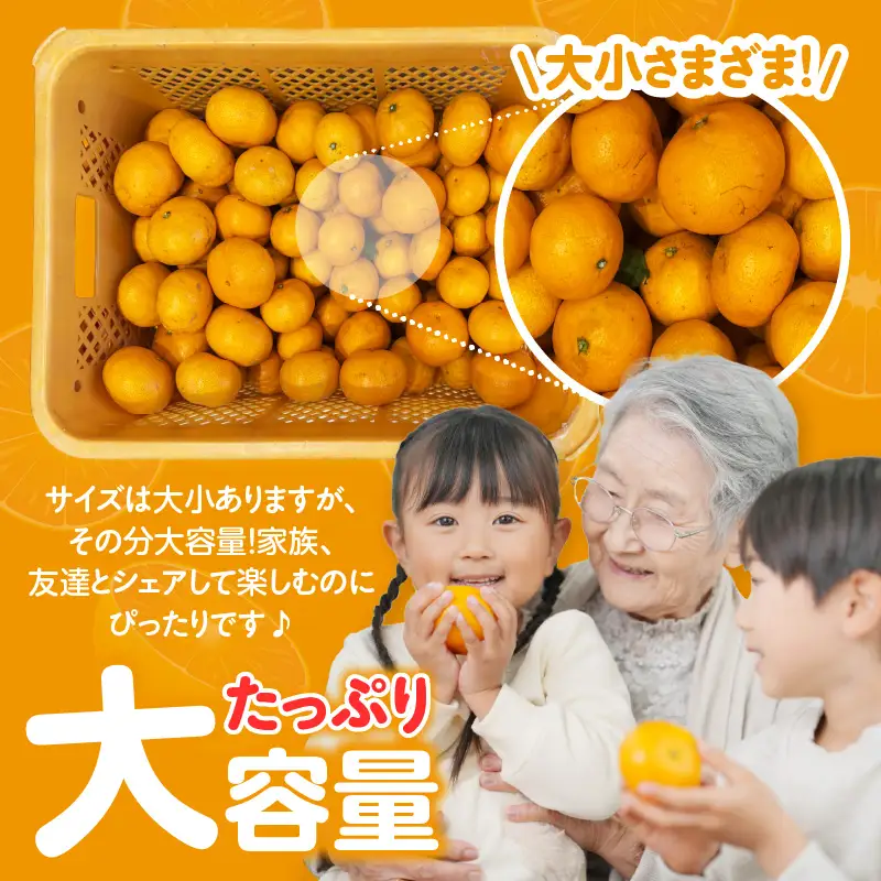【先行予約】【2026年12月発送】【訳あり】不揃いみかん・10kg×1箱
