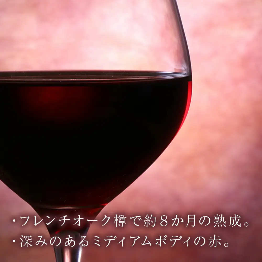 【数量限定】キムラヴィンヤード古木2024 1本