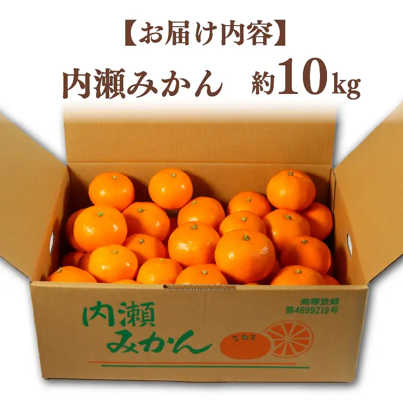 先行予約 内瀬みかん 約10kg アサヒ農園 / みかん 