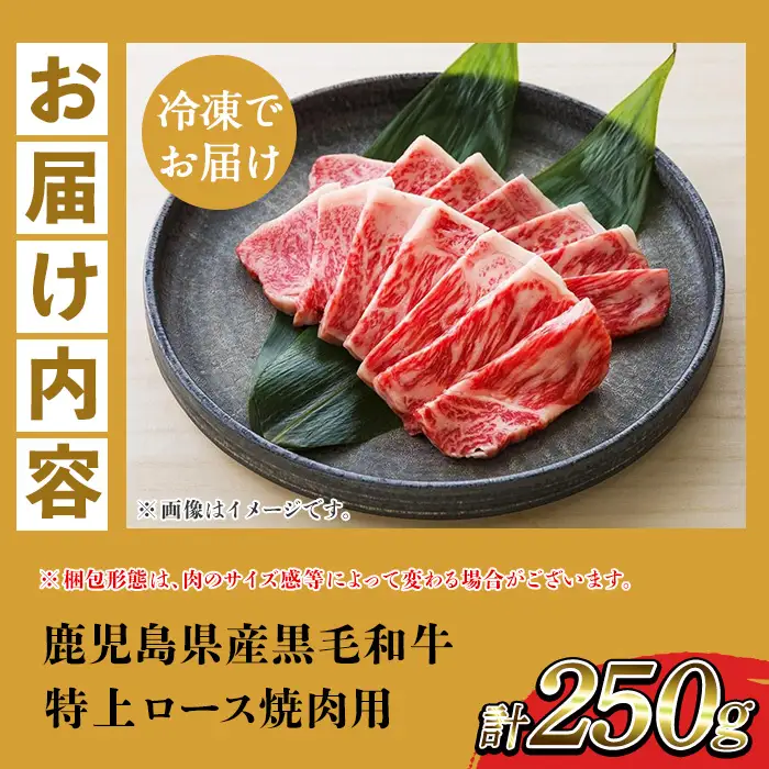 【お中元】牛肉 焼肉 ロース 合計 250g 鹿児島県産 牛肉 焼肉【00-030-30-R8OC】