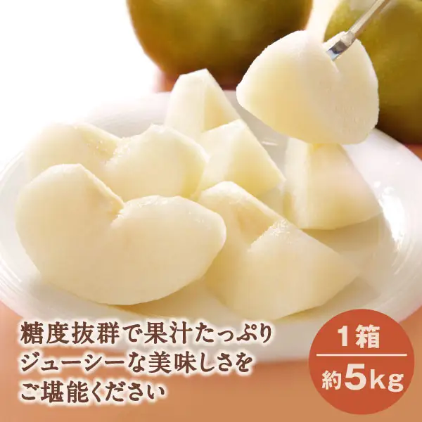 YN-04　鳥取県産和ナシ 甘太梨5kg