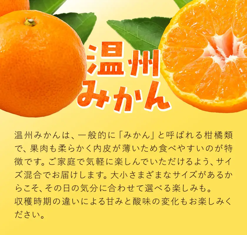 訳あり みかん 温州 みかん ご家庭用 約10kg エイワ商店
