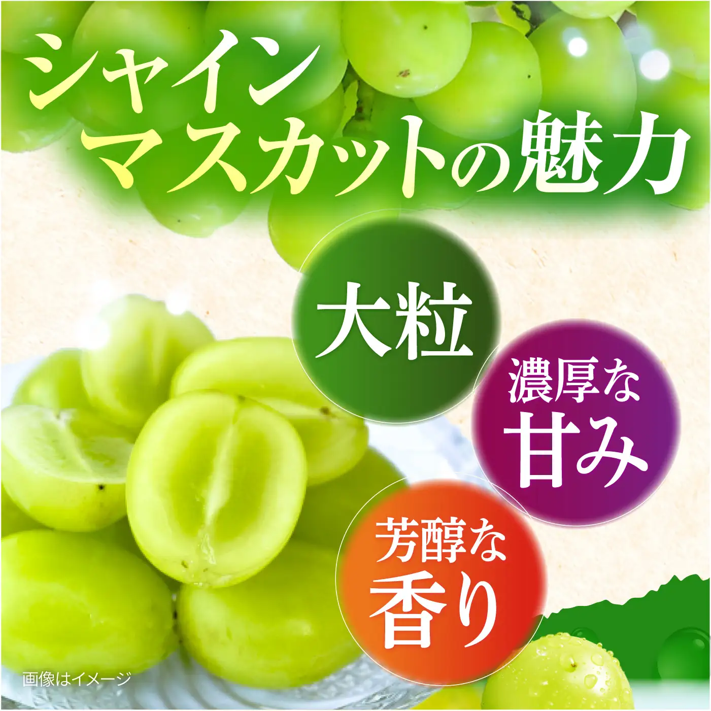 フルーツ2回定期便（ブルーベリー 約1kg・シャインマスカット 約1.5kg） 大村市 おおむら夢ファームシュシュ/ ブルーベリー ぶるーべりー ぶどう ブドウ 葡萄 フルーツ定期便 シャインマスカット[ACAA492]