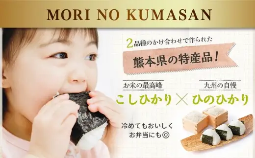 令和7年産 熊本県産 お米 5kg （ 森のくまさん ） お米 米 こめ コメ 白米 白飯 飯 ご飯 おにぎり ブランド米 ブランド 国産 食味 粘り 甘み 【 2026年8月下旬まで発送予定 】