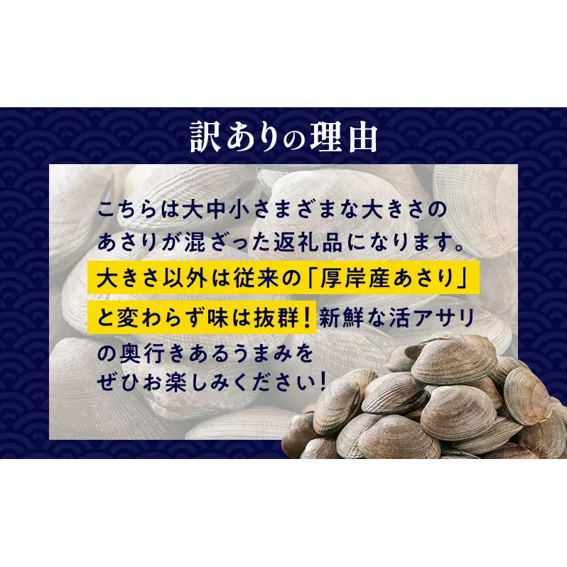 【3カ月 定期便 】訳あり 北海道 厚岸産 砂出し済み 活あさり 1kg×2 (合計2kg) 【厚岸海産】[ アサリ 魚貝 海鮮 大粒 美味しい 栄養 旨み 砂出し 水洗い 冷蔵 便利 ]