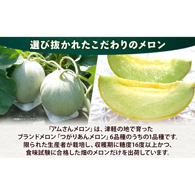 青森県産 つがりあんメロン 「アムさん」 2Lサイズ 1玉 完熟 甘い ジューシー ハウス栽培 弘果弘前中央青果 産地直送 メロン フルーツ 果物 ギフト 贈答 青森県 鶴田町