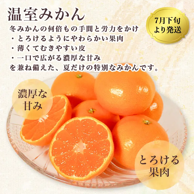 温室みかん 約12～15個入 みかん 柑橘 フルーツ アサヒ農園