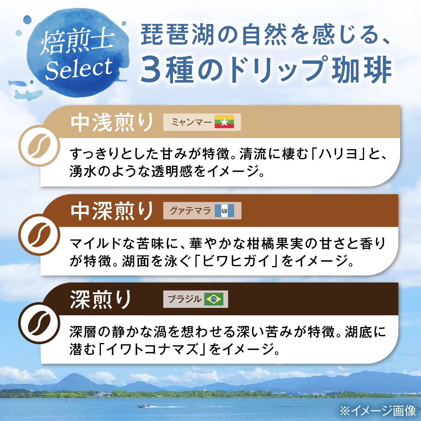 ドリップコーヒー 琵琶湖いきもの珈琲 3セット[AQDM008]ドリップコーヒー