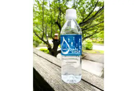 サンベウォーター（国立公園三瓶山の天然水） 【 天然水 水 500ml 24本 ミネラルウォーター シリカ水 鉱水 みず ペットボトル 】