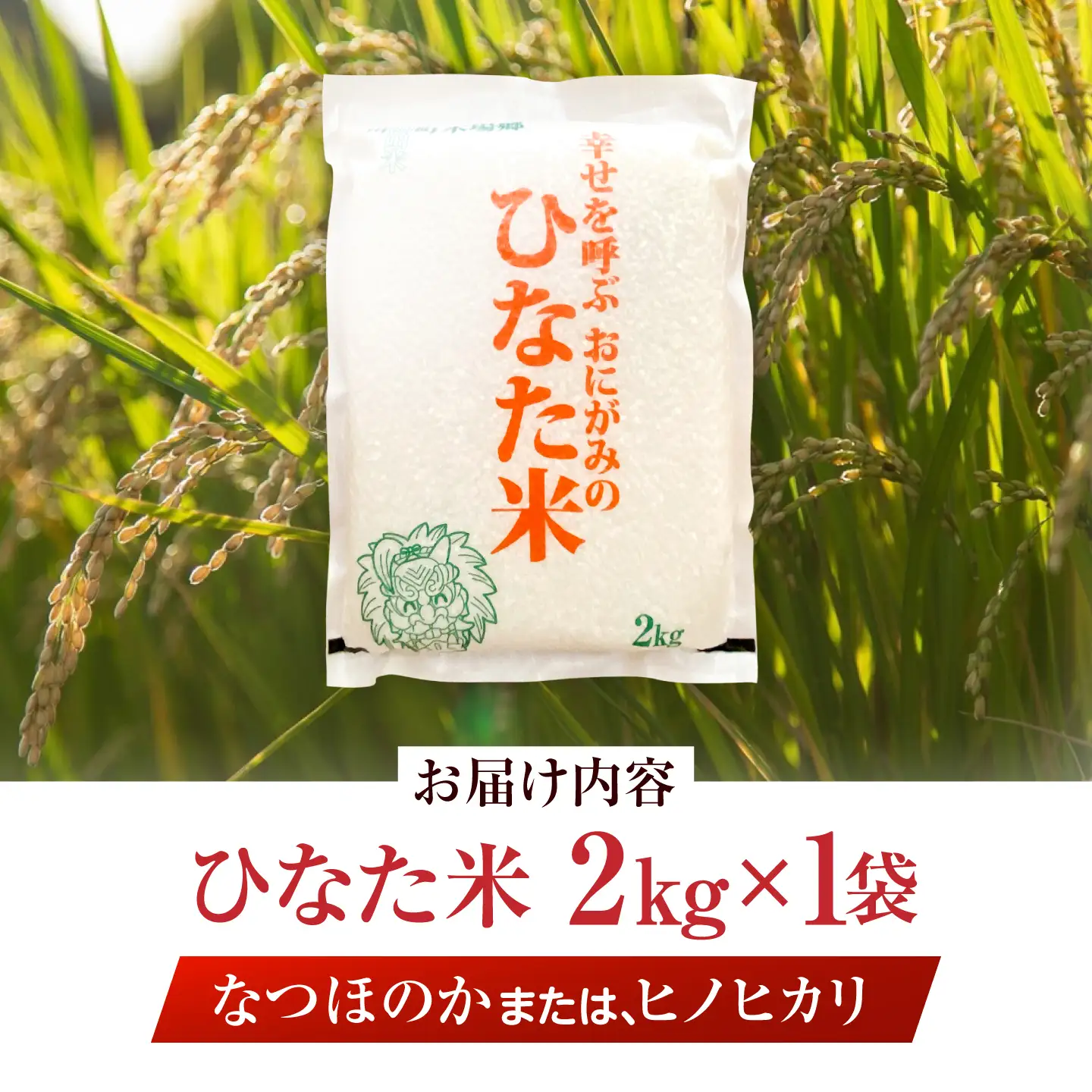 【生活応援キャンペーン中！！】 【R7年度産米】 棚田米『ひなた米』 2kg (2kg×1袋) [OCM993]