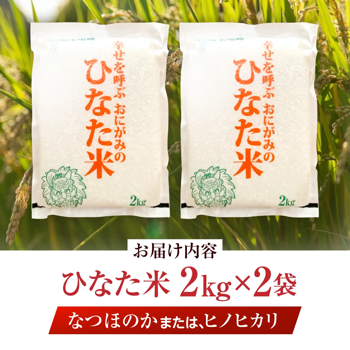【生活応援キャンペーン中！！】 【R7年度産米】 棚田米『ひなた米』 4kg (2kg×2袋) 【木場中山間管理組合】[OCM994]