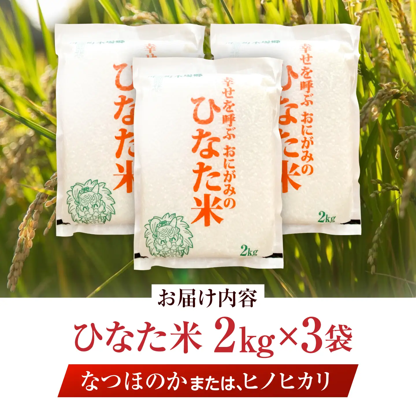 【生活応援キャンペーン中！！】 【R7年度産米】 棚田米『ひなた米』 6kg (2kg×3袋) 【木場中山間管理組合】[OCM995]