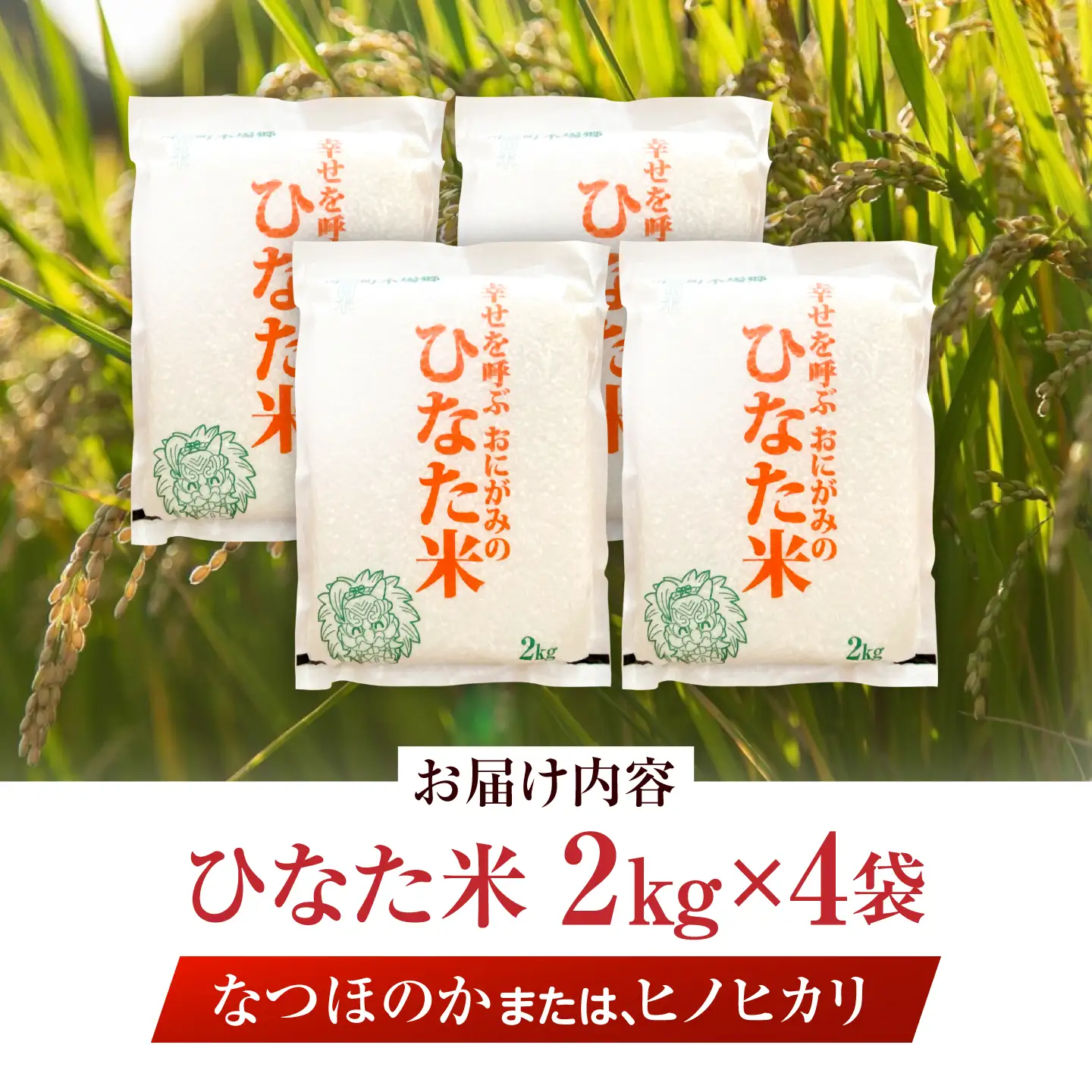 【生活応援キャンペーン中！！】 【R7年度産米】 棚田米『ひなた米』 8kg (2kg×4袋) 【木場中山間管理組合】[OCM996]