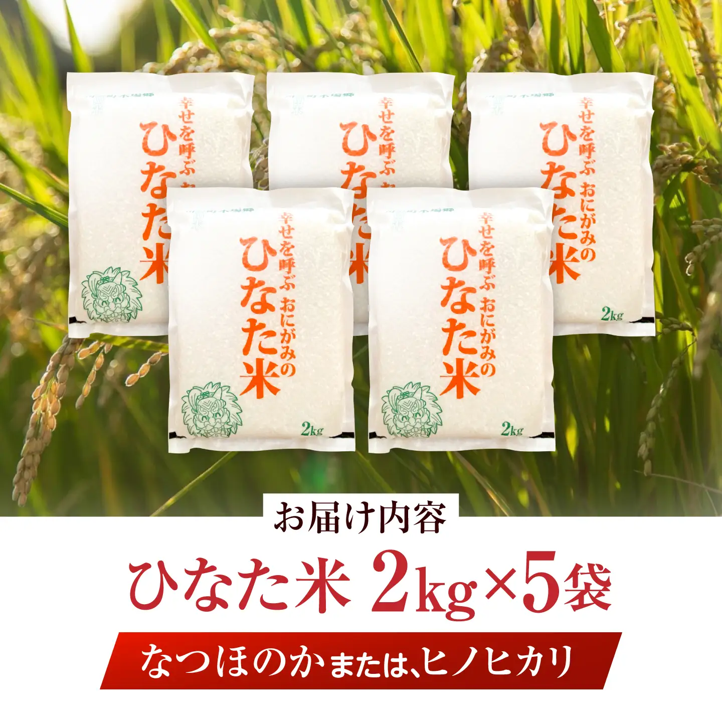 【生活応援キャンペーン中！！】 【R7年度産米】 棚田米『ひなた米』 10kg (2kg×5袋) 【木場中山間管理組合】[OCM997]