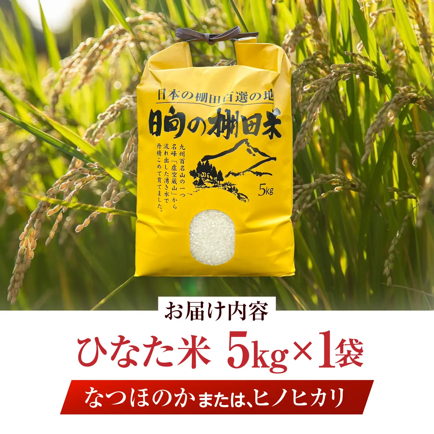 【R7年度産米】 棚田 米 5kg  [OCM998] 米