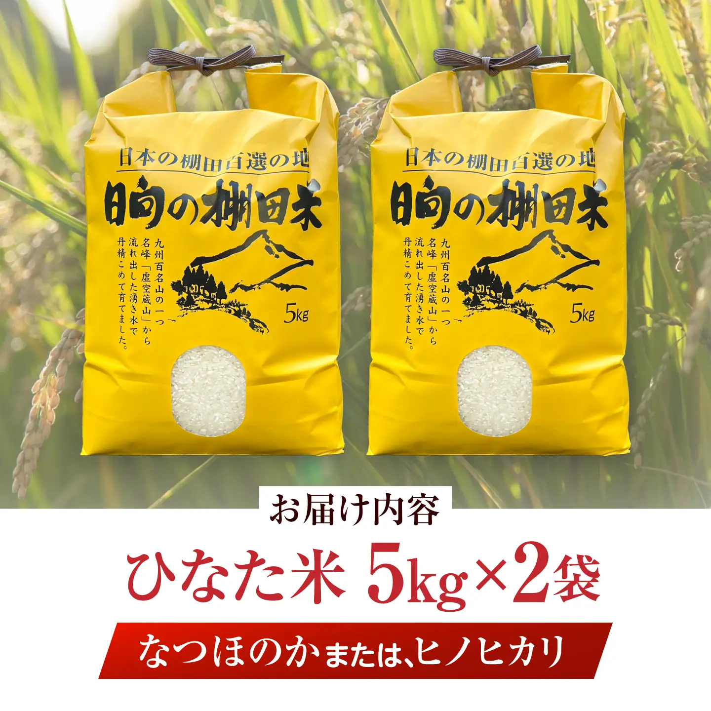 【R7年度産米】 棚田 米 10kg  [OCM999] 米