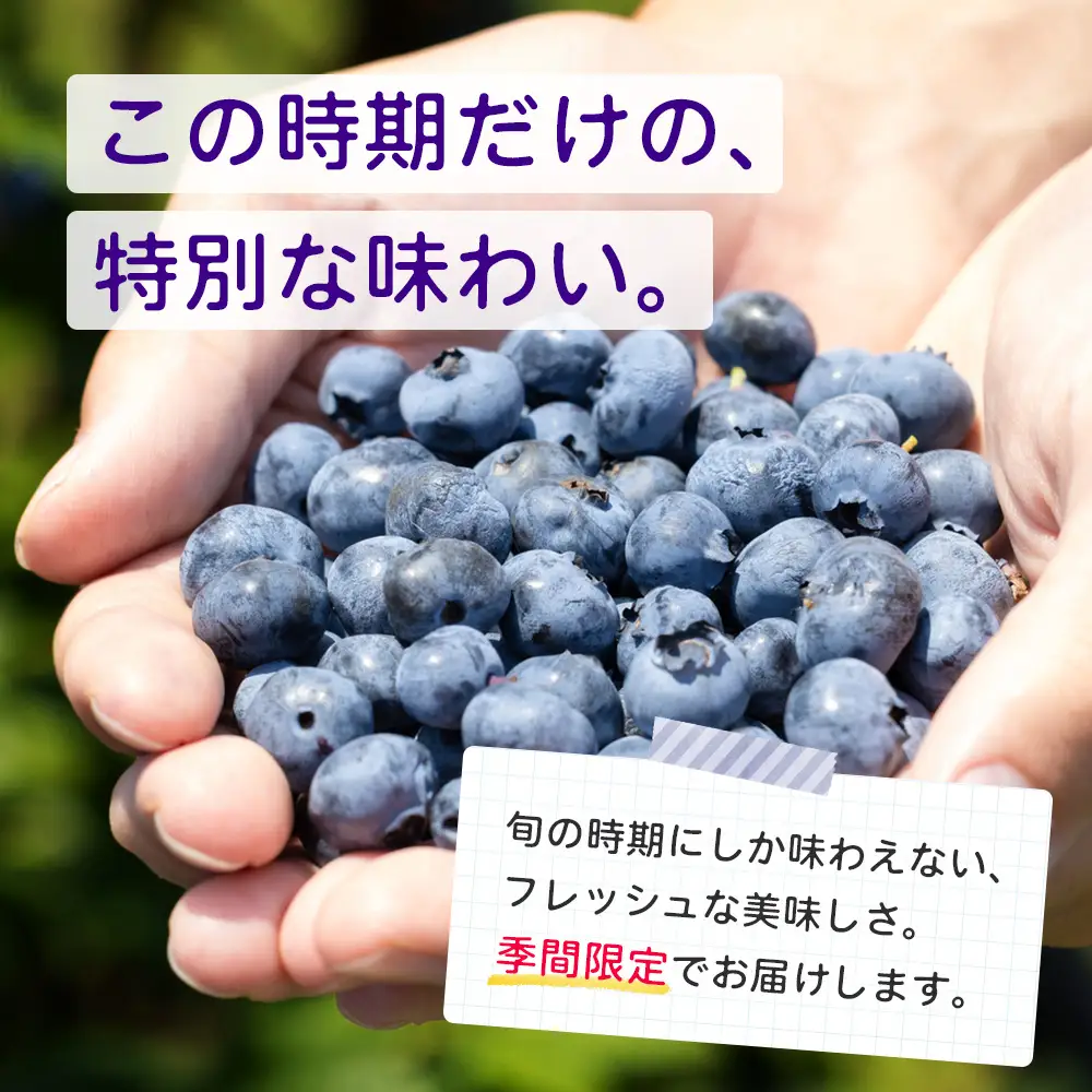 【期間限定】南大隅産 (生)ブルーベリー 品種ミックス詰め合わせ ≪100g×5P≫ BO-1 ｜ 鹿児島県 南大隅町 旬 産地直送 果物 ブルーベリー フルーツ くだもの 新鮮 農園 冷蔵 本土最南端