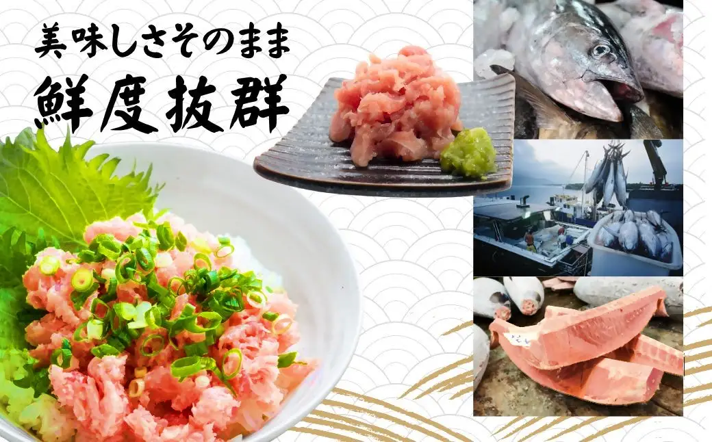 まぐろたたき ネギトロ(100g×10P)【魚住商店】_HA1975 まぐろ ねぎとろ 丼 おつまみ 国産 おかず 福岡県宗像市 宗像市 福岡 宗像